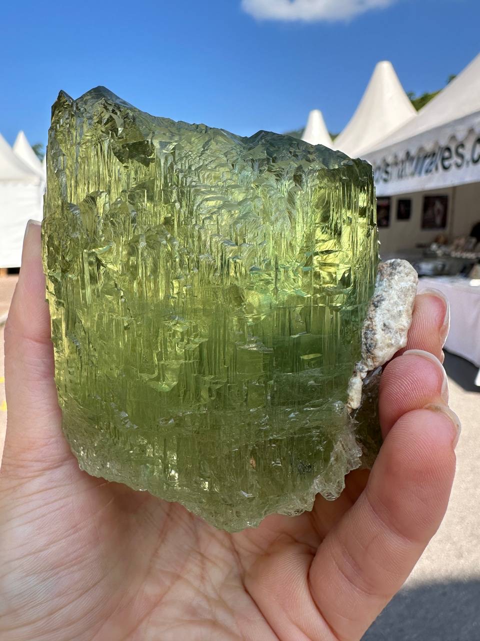 КОМПАНІЯ VOLYN GEMS ПРИЙНЯЛА УЧАСТЬ В  МІЖНАРОДНОЇ МІНЕРАЛОГІЧНОЇ ВИСТАВКИ SAINTE-MARIE-AUX-MINES, ФРАНЦІЯ.